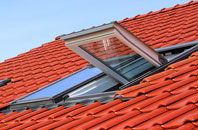 Huntenhull Green roof window